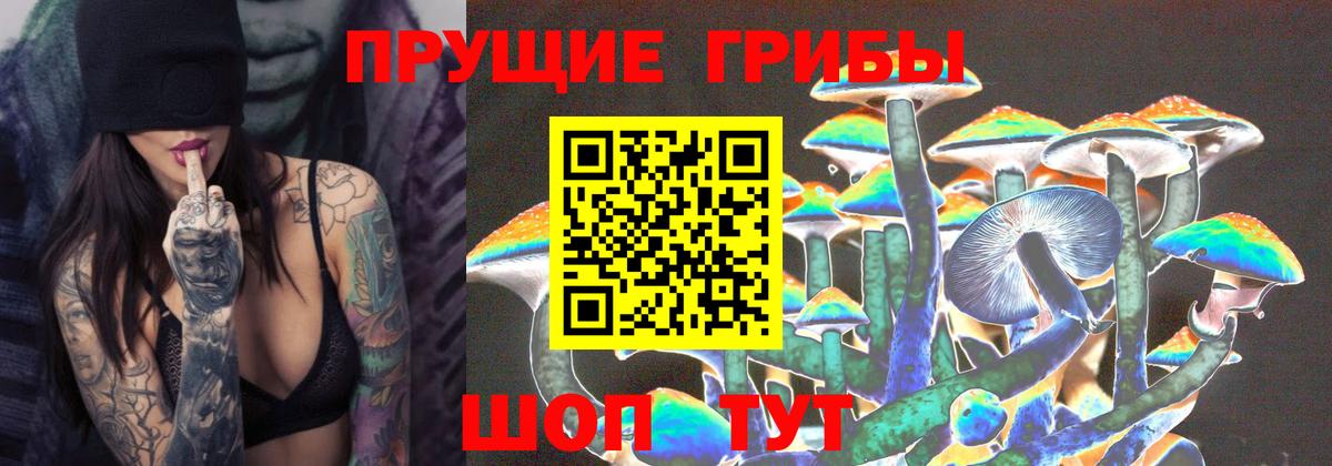Псилоцибиновые грибы MAGIC MUSHROOMS Белово